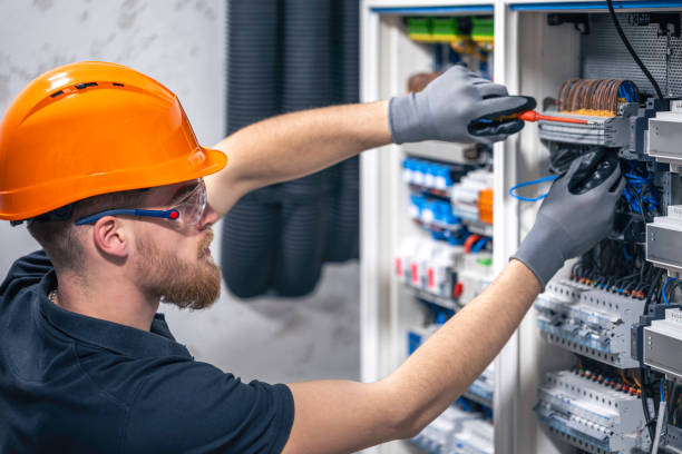 Best Electrical Repair Services  in Delavan, IL